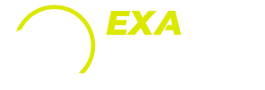 Exa-Falcon Logo